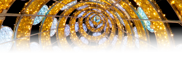 inside of a lit Christmas tree